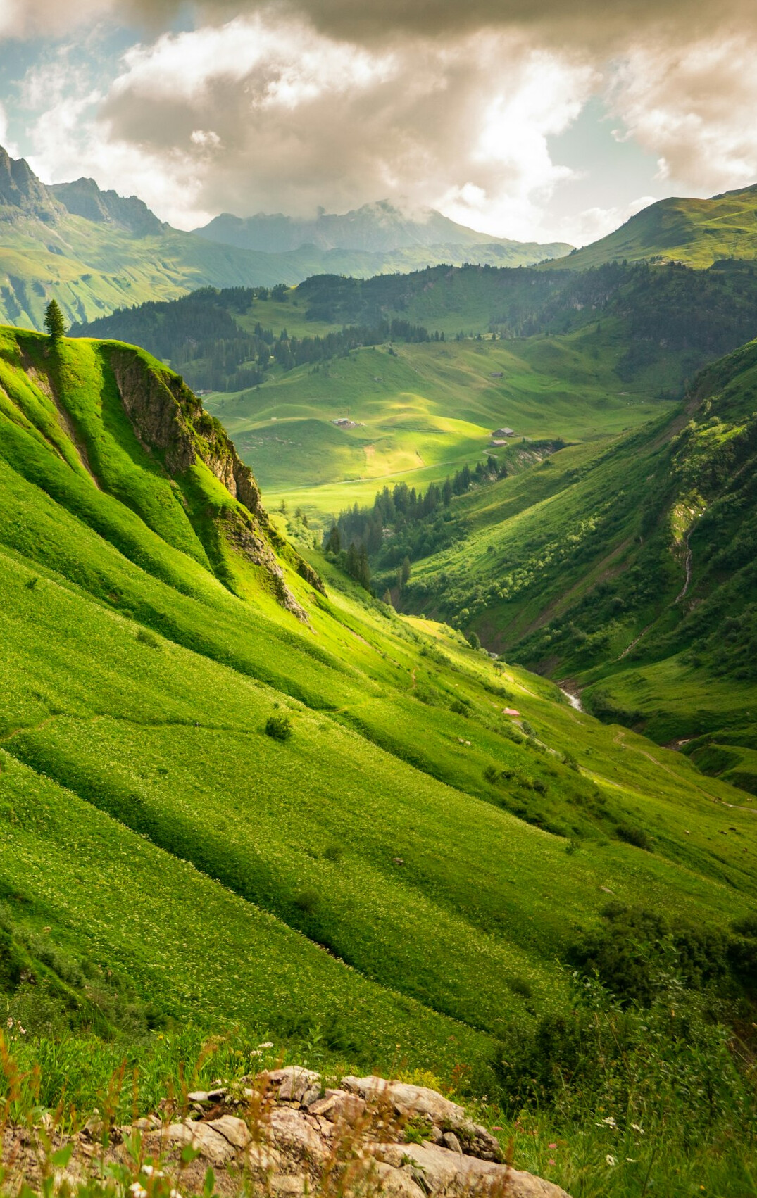 swiss alps nature