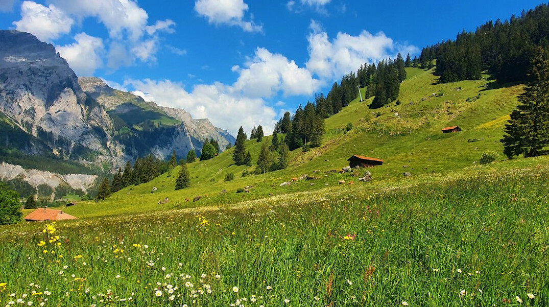 swiss mountains environmental battle