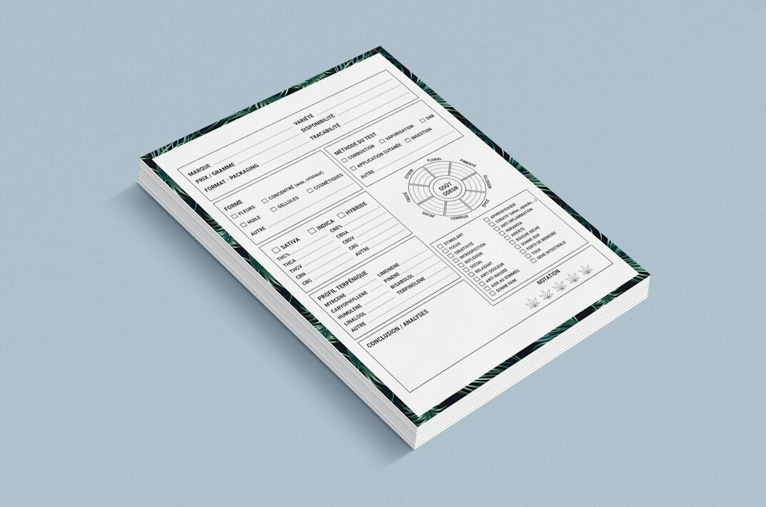 detailed financial report